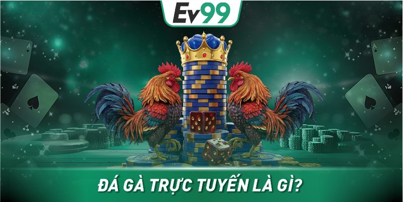Đá gà trực tuyến là gì? 